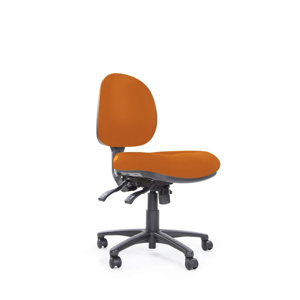 Ergoteq Mid Back Office Chair