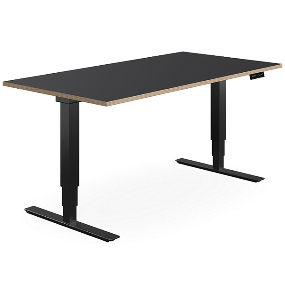 Selectric 201 Premium Desk