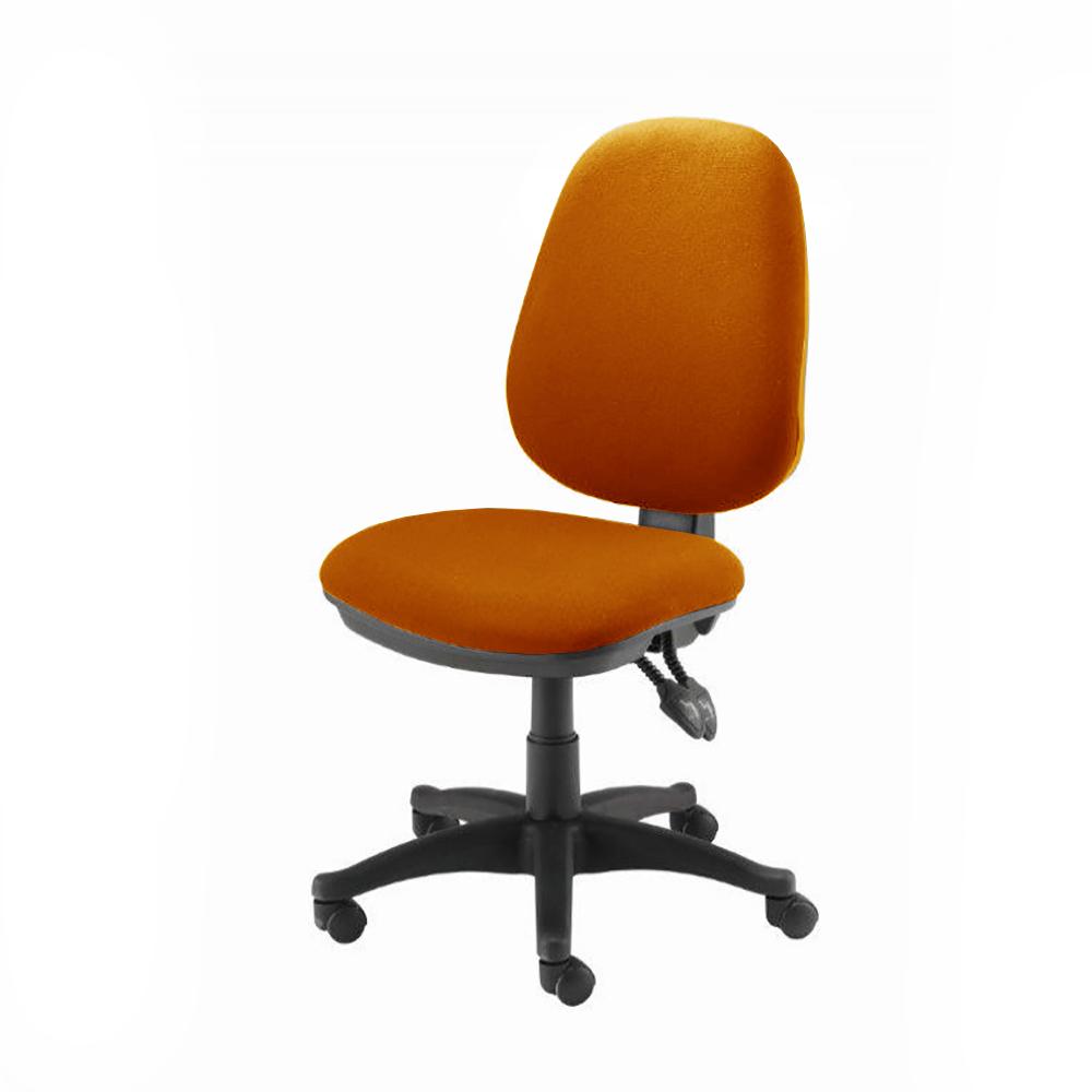 Ezitask Spinal Support Chair