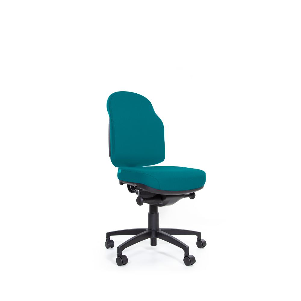 Flexi Plush Touch Mechanism Low Back Chair