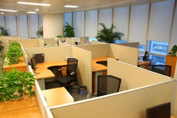 Different Types of Modular Office Furniture That Are Available Today