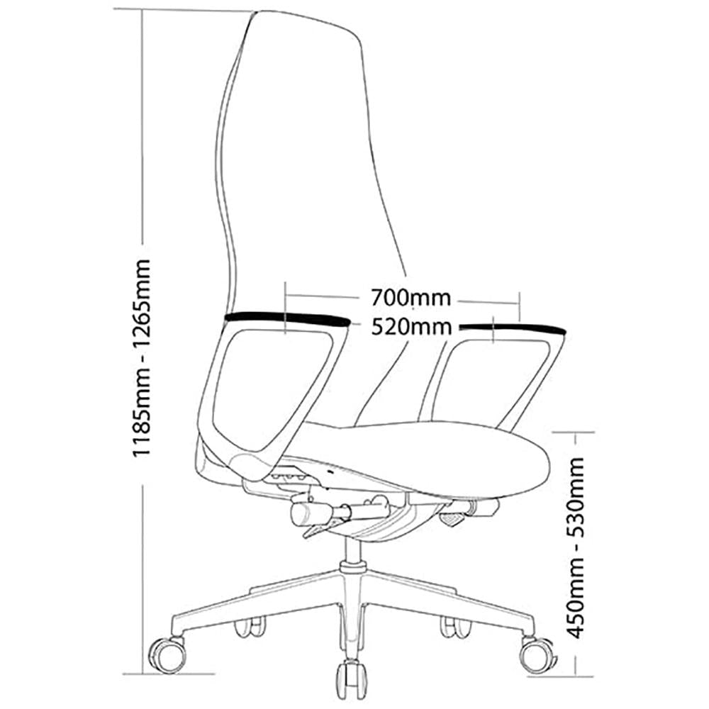Assist High Back Office Chair with Arms