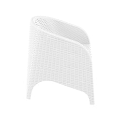 products/aruba-tub-chair-with-arm-furnlink-145-view11_9862b176-1188-402f-8e02-51457a0151f8.jpg