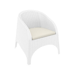 products/aruba-tub-chair-with-arm-furnlink-145-view4_c15e2646-9be1-40e1-8954-f5da847345cf.jpg