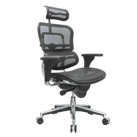 E-Human Mesh Back Executive Chair