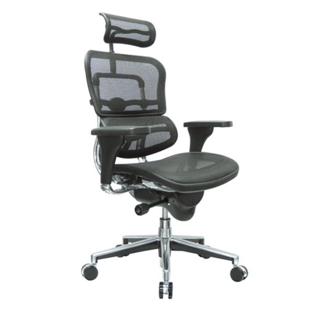 E-Human Mesh Chair with Headrest