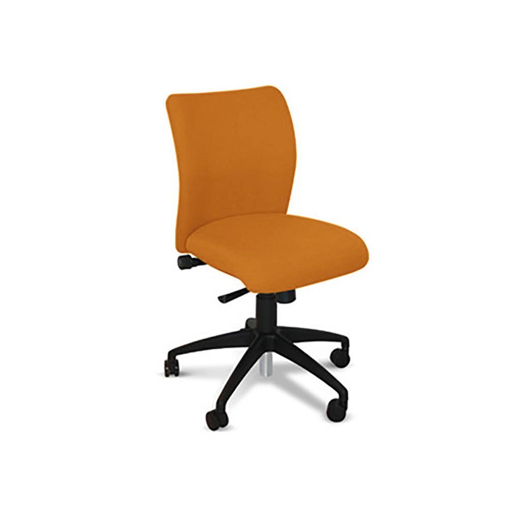 Ene Therapeutic Office Chair