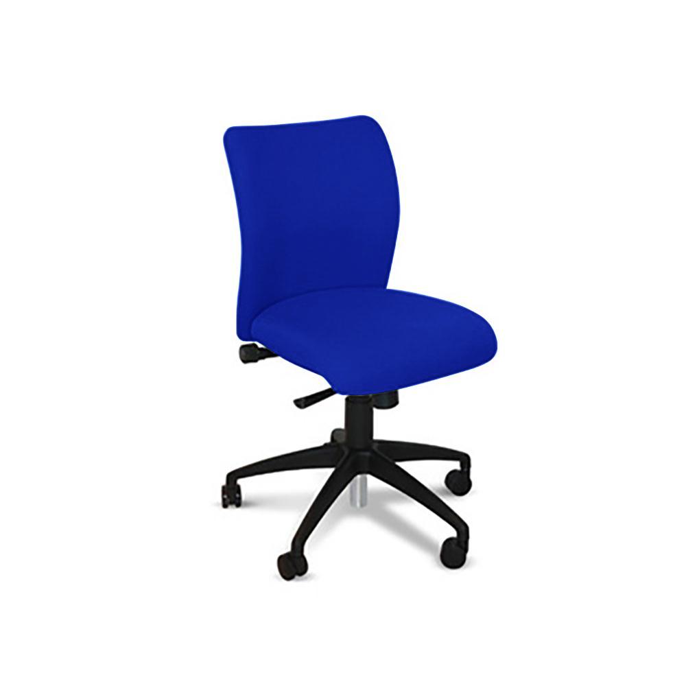 Ene Therapeutic Office Chair