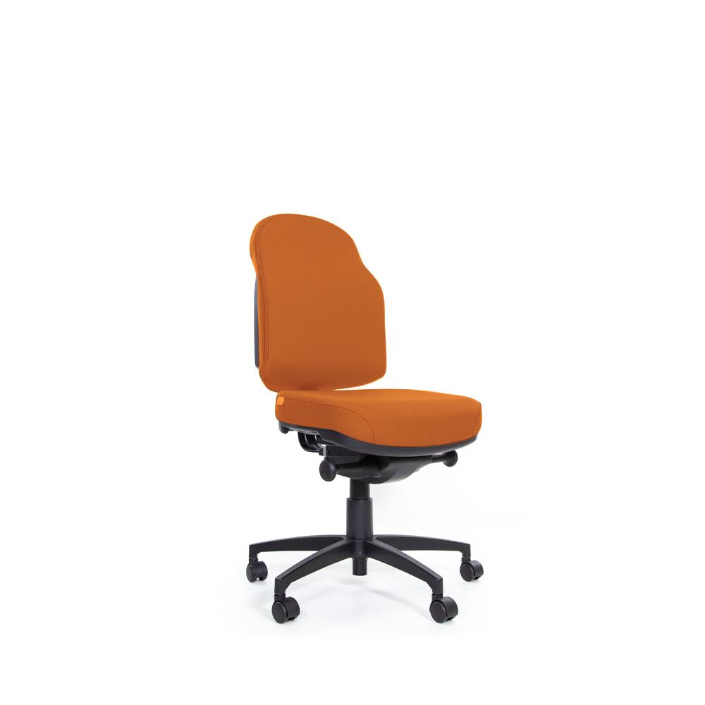 Flexi Plush Touch Mechanism Low Back Chair