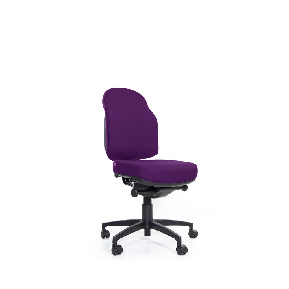 Flexi Plush Auto Mechanism Low Back Chair