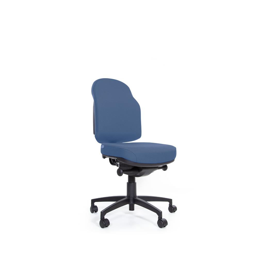 Flexi Plush Auto Mechanism Low Back Chair