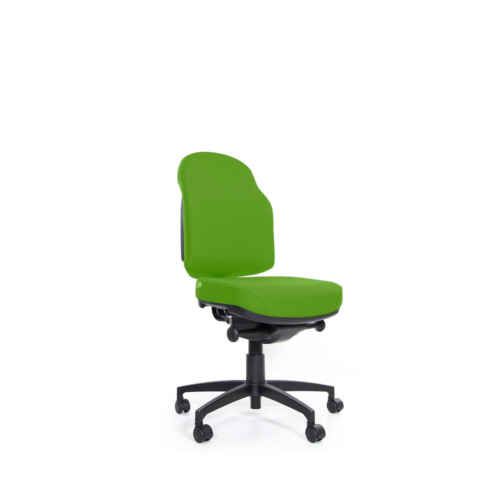 Flexi Plush Auto Mechanism Low Back Chair