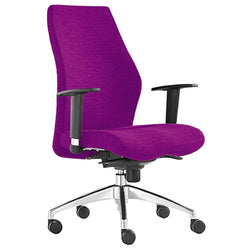 products/regal-executive-chair-with-arms-regal-l-pederborn_b0bcf938-6028-4514-9177-c670ce6c3a44.jpg