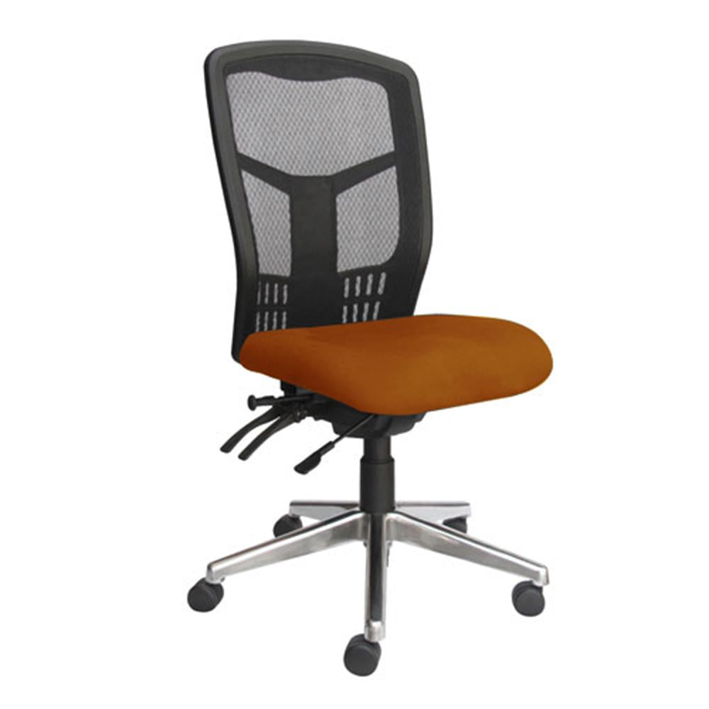 Tran Mesh High Back Office Chair